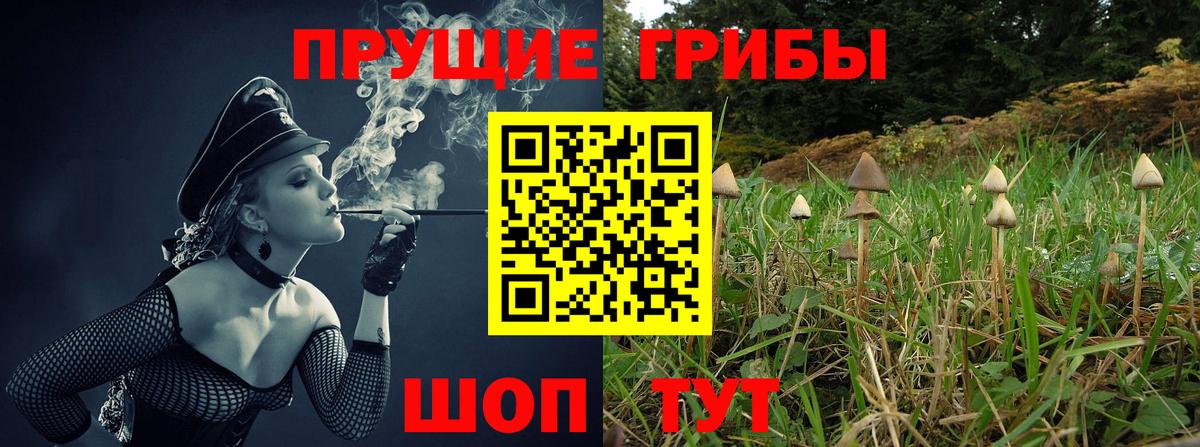 Галлюциногенные грибы MAGIC MUSHROOMS Новоалтайск