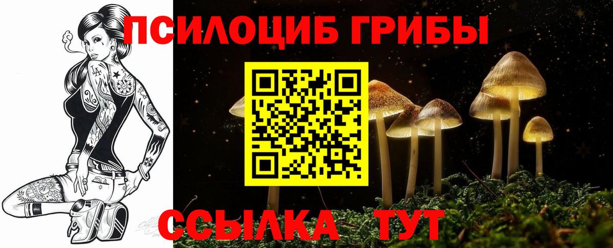 Новоалтайск  Галлюциногенные грибы мицелий  даркнет сайт  Вход с VPN  Галлюциногенные грибы мицелий 
